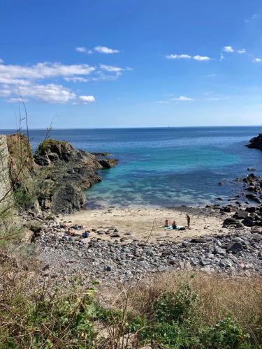 Cadgwith Cove Inn - image 6