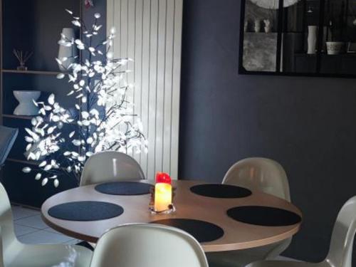 Gîte campagnard avec animaux acceptés, terrasse privée - FR-1-496-299 (Gite campagnard avec animaux acceptes, terrasse privee - FR-1-496-299) in Rive-de-Gier