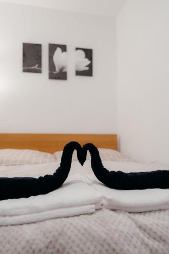 BarbyB Apartment - With free parking, Bratislava (fotografie 8)