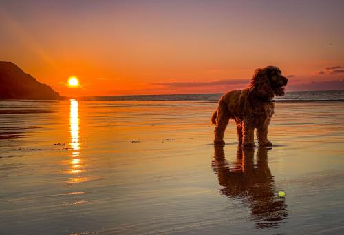 Lovely cottage in Snowdonia, private hot tub, by mountains & award winning beach