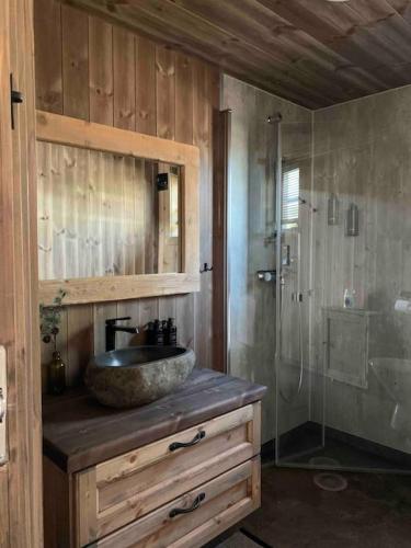 Cosy cabin between lake and mountain in Treungen