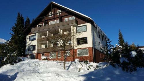 Apartment - Ground Floor image 3