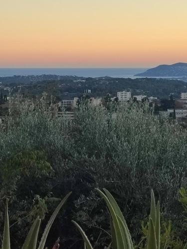 Charmante Maison de Vacances - Location saisonnière - Grasse