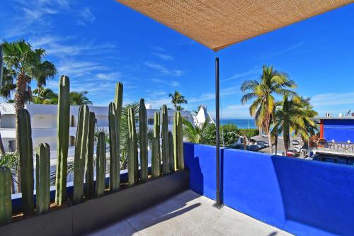 CASA FRIDA in La Paz, Mexico