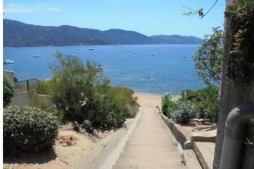 F2 pieds dans l'eau in Casaglione