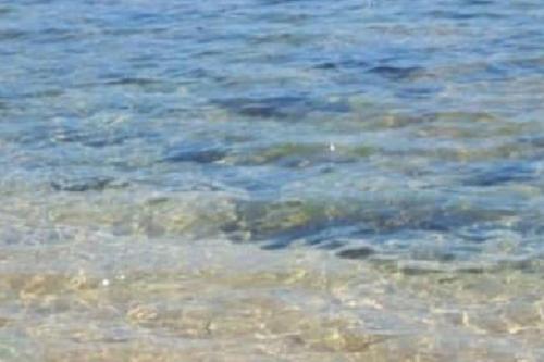 F2 pieds dans l'eau in Casaglione