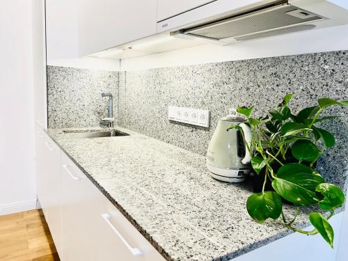 Tomy Old Town Apartments 2
