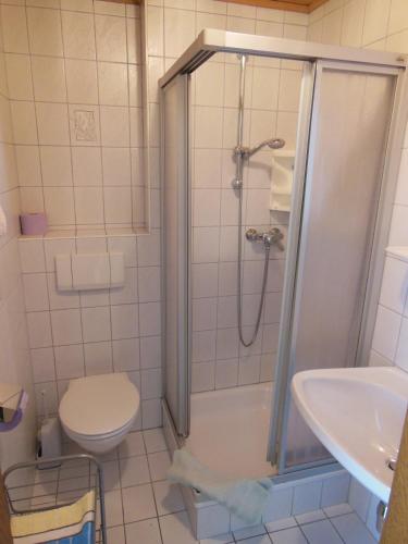 Ferienwohnung Dirlinger by Schladmingurlaub