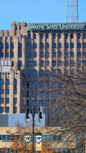 This Old House, Detroit (foto 8)