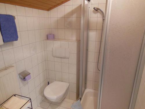 Ferienwohnung Dirlinger by Schladmingurlaub