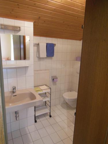 Ferienwohnung Dirlinger by Schladmingurlaub - image 6