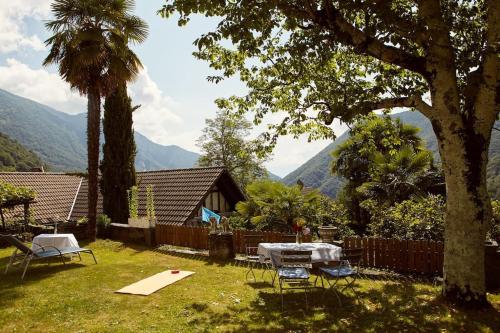 Wild Valley Palm Garden in Valle Onsernone in Berzona, Schweiz