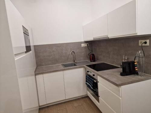 Stylish Panorama City Family Suite, Bratislava (fotografie 5)