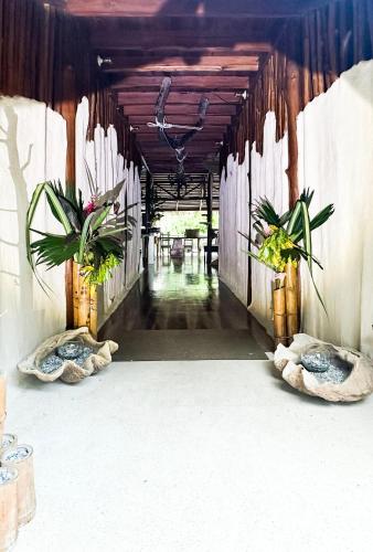 Casa Vida Verde in Cabo Matapalo