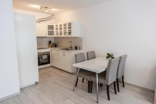 Spacious Terrace Apartment with free private parking, Praha (fotografie 10)