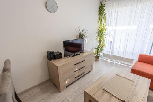 Spacious Terrace Apartment with free private parking, Praha (fotografie 8)