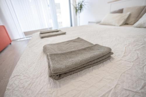 Spacious Terrace Apartment with free private parking, Praha (fotografie 6)