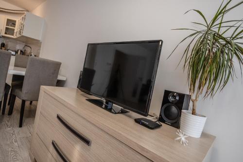 Spacious Terrace Apartment with free private parking, Praha (fotografie 9)