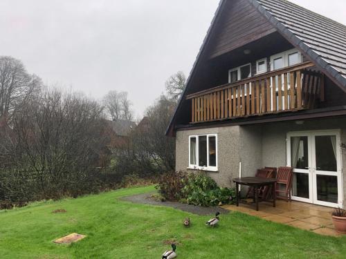 Cosy 3 Bed lodge on 35 acre Holiday Estate