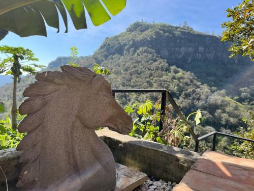 La Palapa & Posada Mía in Alto de Tío Diego, Mexico