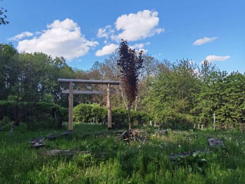 Ekosamotnia - main image