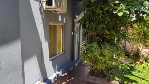 One-Bedroom Apartment image 2