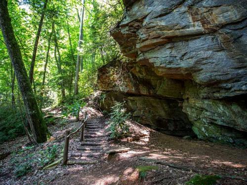 Trail Magic Pet-friendly, Deck, Fire Pit & Year-round Mountain Views! in Old Fort, USA