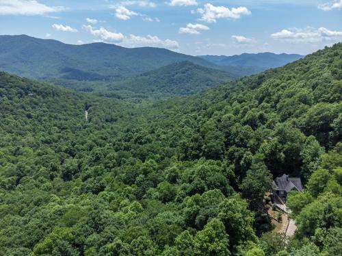 Carolina Blue Pet Friendly, Deck, Treetop Views in Black Mountain, USA