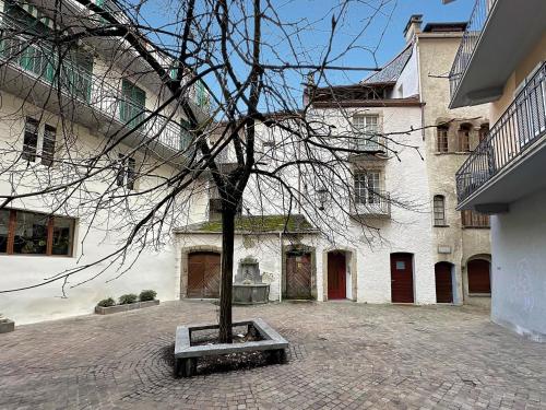 Studio 505 - Sion Old City - Swiss Alps, Sion (fotografie 9)