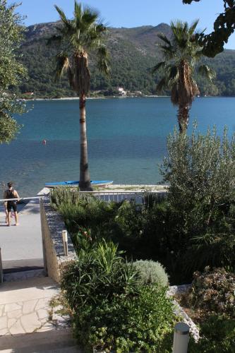 Apartments by the sea Slano Dubrovnik - 8538 - image 7