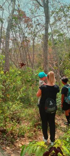 eco trekking lodge Bar & tour's