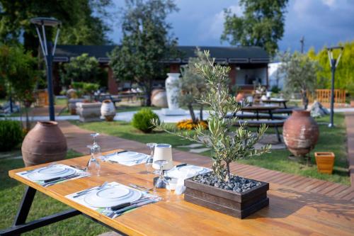 Club Tuana Fethiye - All Inclusive - image 10