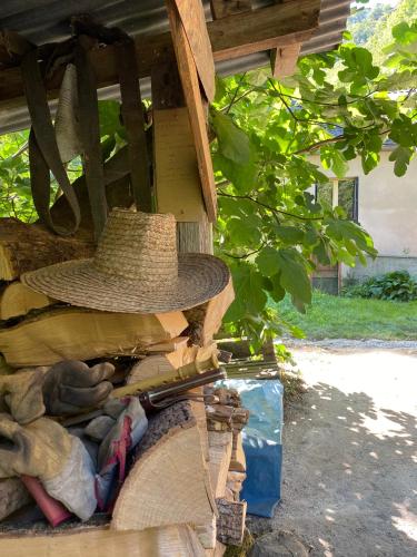 La Maison dans la forêt