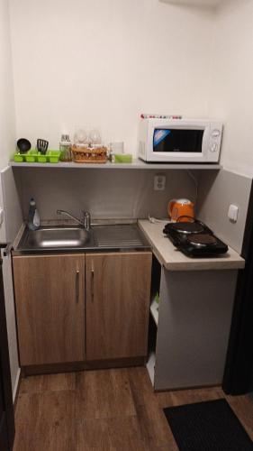 廚房, Vila Pavlinka apartmany Losiny in 大洛西尼