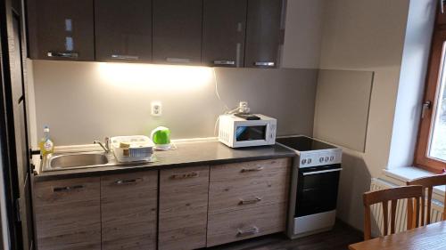 廚房, Vila Pavlinka apartmany Losiny in 大洛西尼