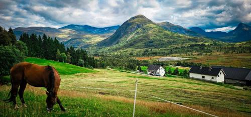 Holiday home among the pearls of Norway - Stranda