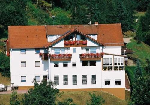 Gasthaus Zum Spalterwald - Hotel - Beerfelden