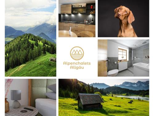 Allgäuer Alpenchalets Ferienhaus mit Holzkamin und Garten sowie eine malerische Ferienwohnung mit Balkon und Bergblick perfekt für Hundeliebhaber - Apartment - Immenstadt