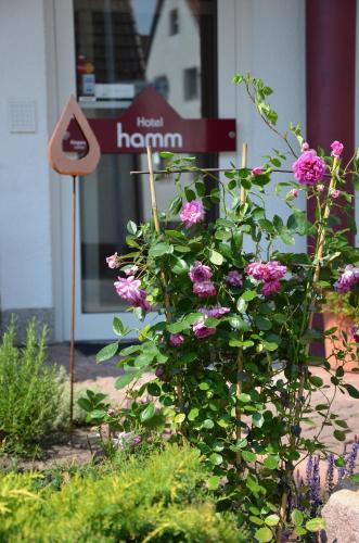 Hotel Hamm - image 6