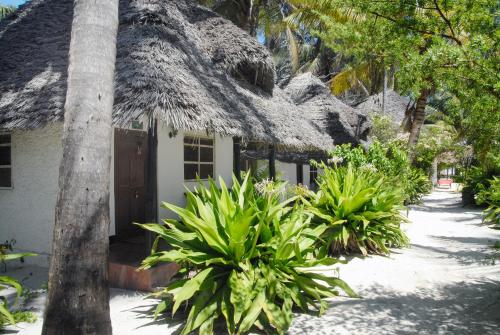 Paradise Beach Bungalows