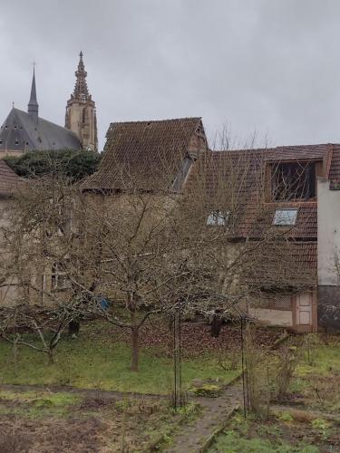 Ferienwohnung am Stadtgarten