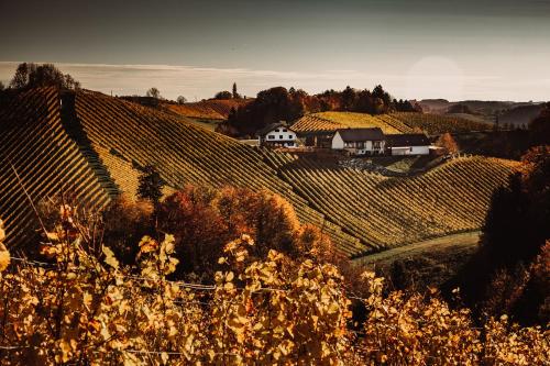 Weingut Brenner am Rossberg