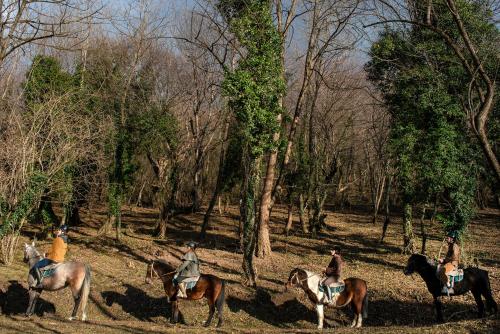 罗泊塔湖度假村Spa酒店