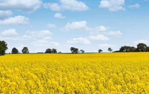 Facilities, 4 Bedroom Lovely Home In Loderup in Borrby