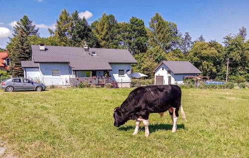 Pet Friendly Apartment In Spytkowice, Spytkowice (photo 6)
