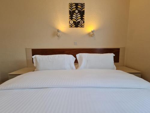 Norfolk Hotel - image 2