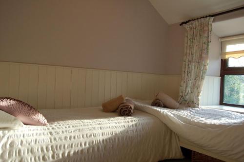 Henborth Mawr Cottage in Talybont