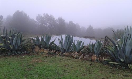 Casa Rural en pleno paraje natural La Chirala