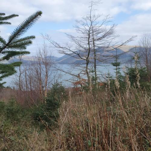 Umgebung, Carlingford Mountain Farm in Dundalk