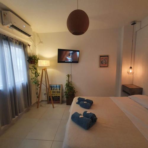 One-Bedroom Apartment image 2